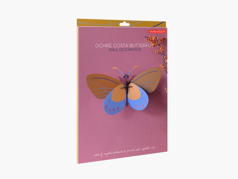 filipok-ochre-costa-butterfly