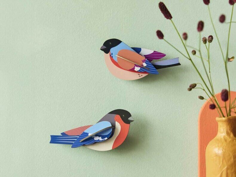 Finches – Bild 2