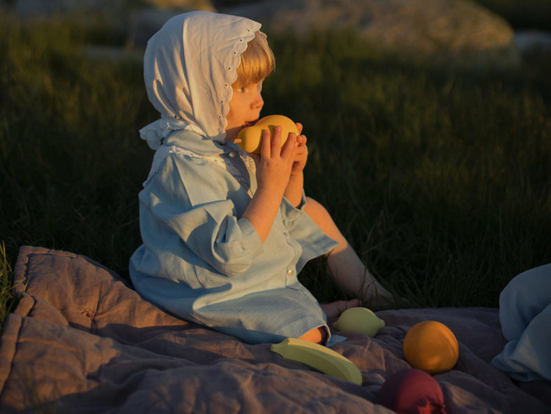 fruits raduga grez Holzspielzeug