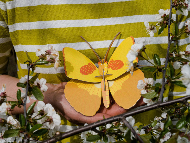 gelber-schmetterling-studio-roof