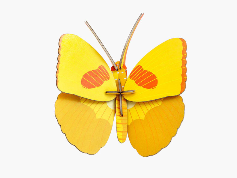 yellow-butterfly-studioroof