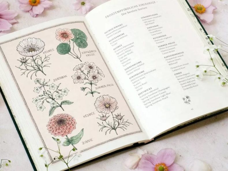 Jora Dahl, Flower Notes – Ein Blumenjournal – Bild 2