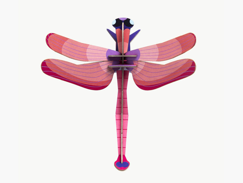 ruby-dragonfly-studio-roof