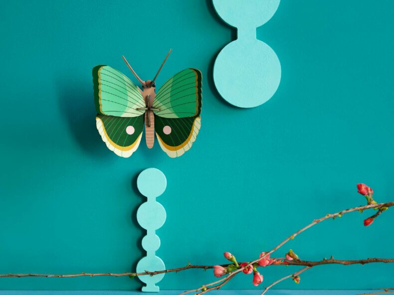 studio-roof-Fern-striped-Butterfly