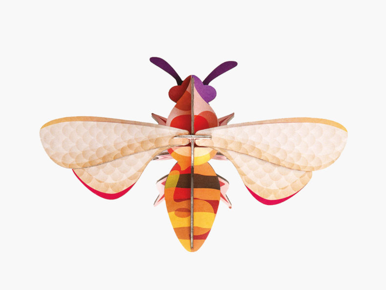 Biene Honey Bee filipok Berlin
