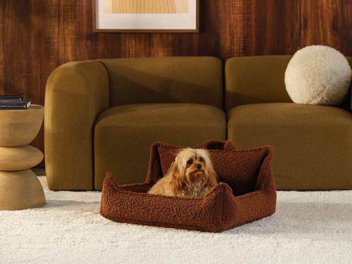 Pet Club Chair M, Warm Hazel – Hundesessel – Bild 3